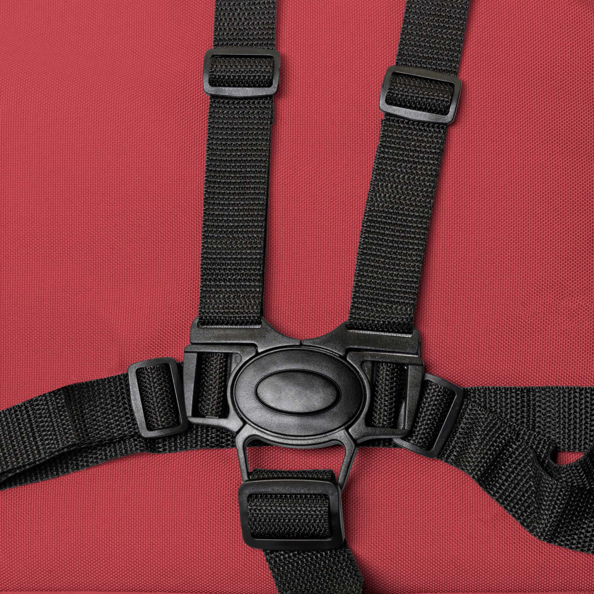 Close-up of black seat belt harness on a red seat